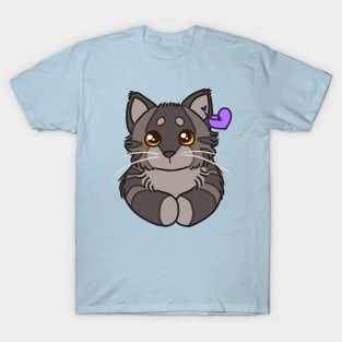 ty beanie graystripe T-Shirt